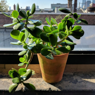 Group logo of Warehouse On Watts